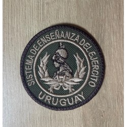 Sistema de Enseñanza del Ejército (SEE)